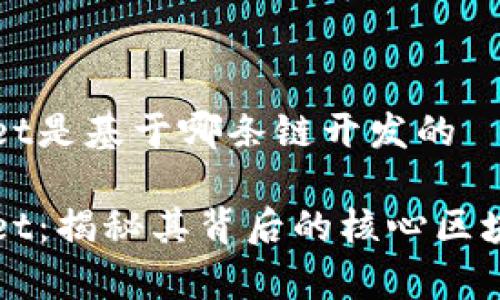 tpWallet是基于哪条链开发的

tpWallet：揭秘其背后的核心区块链技术