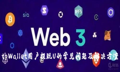 tpWallet用户提现U的常见问题及解决方案