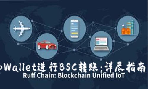 如何通过tpWallet进行BSC转账：详尽指南与实用技巧