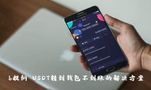 b提纲 USDT转到钱包不到账的解决方案